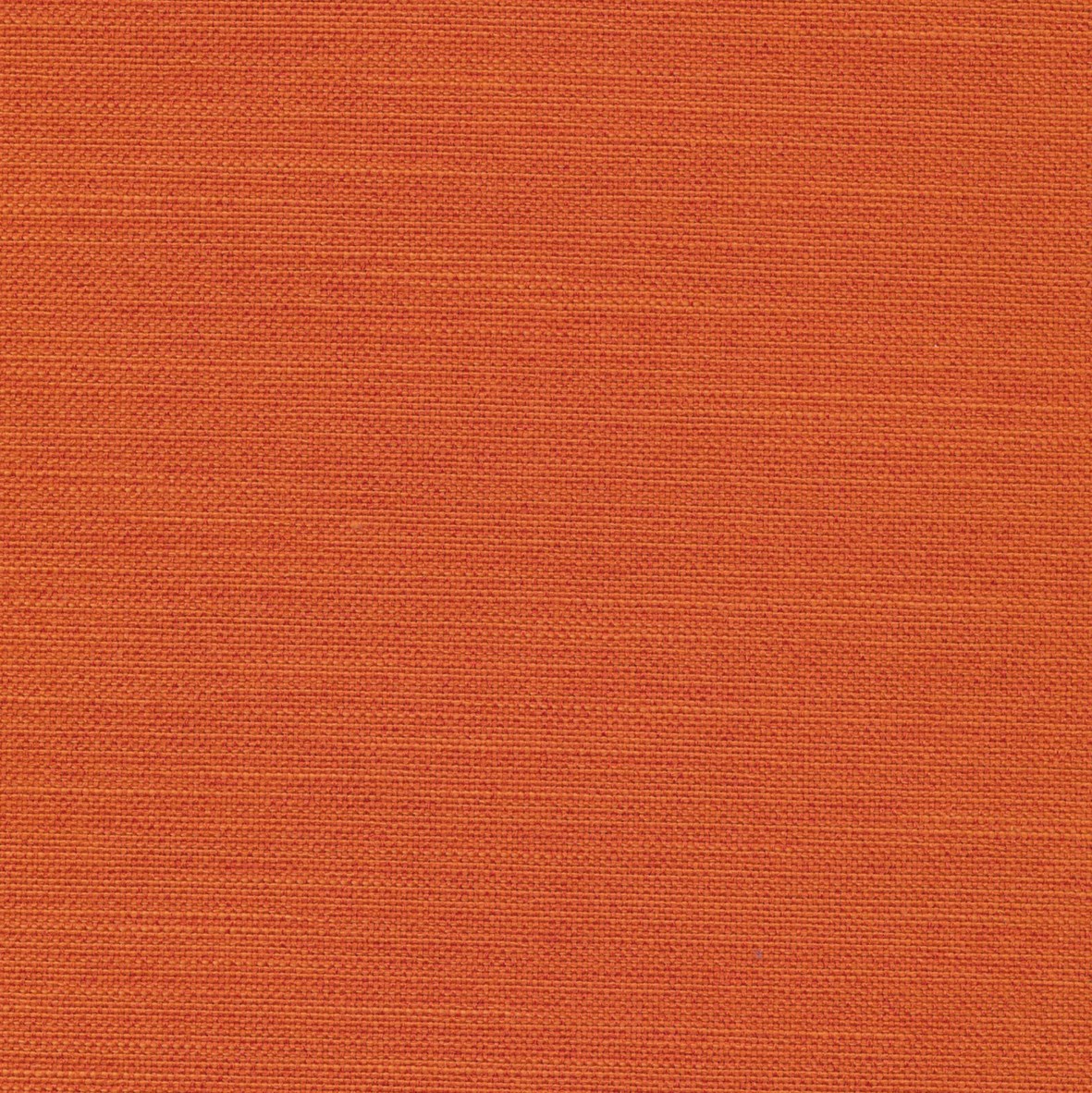 510-Elegance-Orange-2025